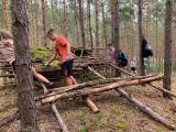 wald2.jpg